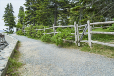 Bar Harbor Walking Tour cruise excursion